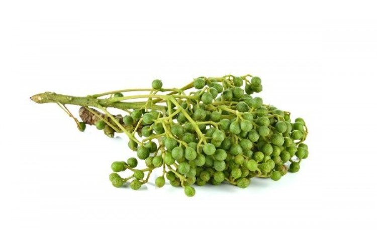 Эфирное масло Литсея Кубеба  